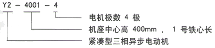 YR系列(H355-1000)高压ZSN4-225-091-40KW三相异步电机西安西玛电机型号说明